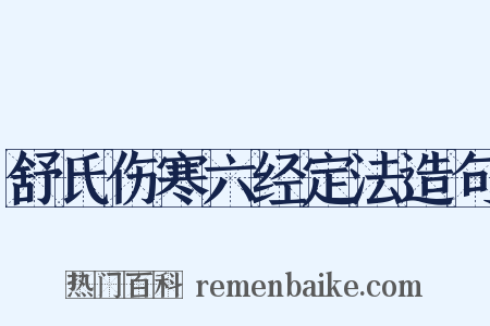 舒氏伤寒六经定法造句是什么意思的图片